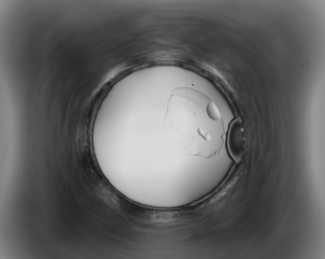 X0000086321211200704202015