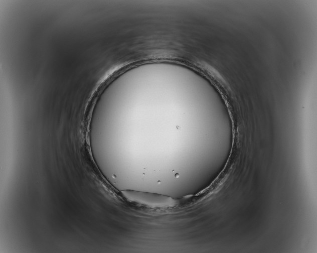 X0000086321212200704202015