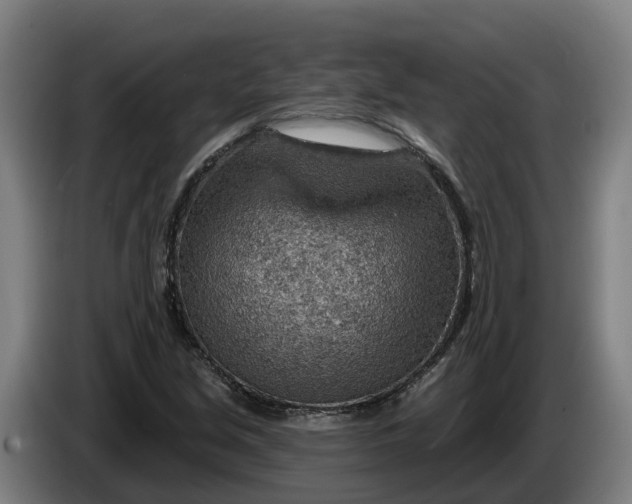 X0000086321213200704202015