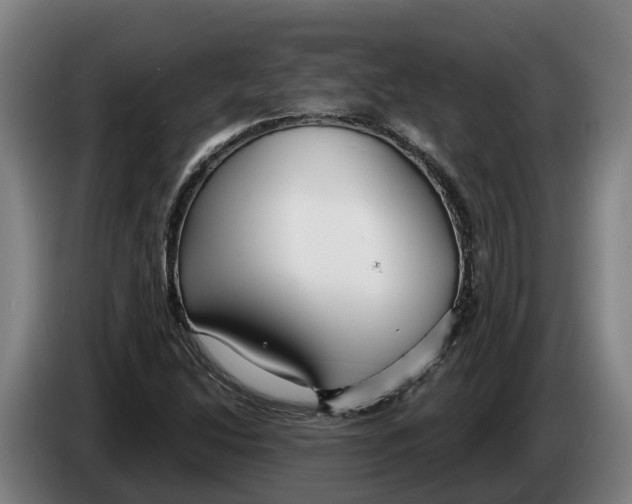 X0000086321214200704202015