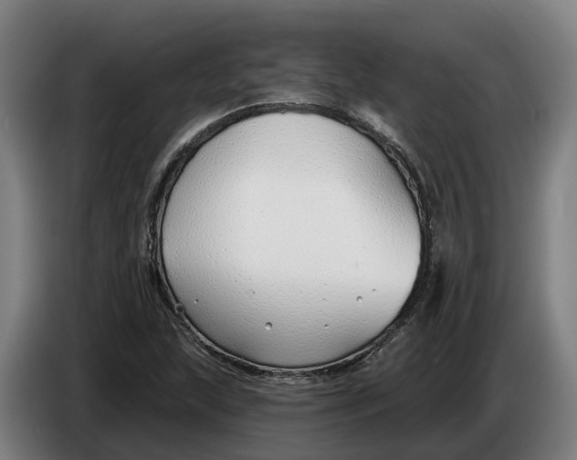 X0000086321215200704202015