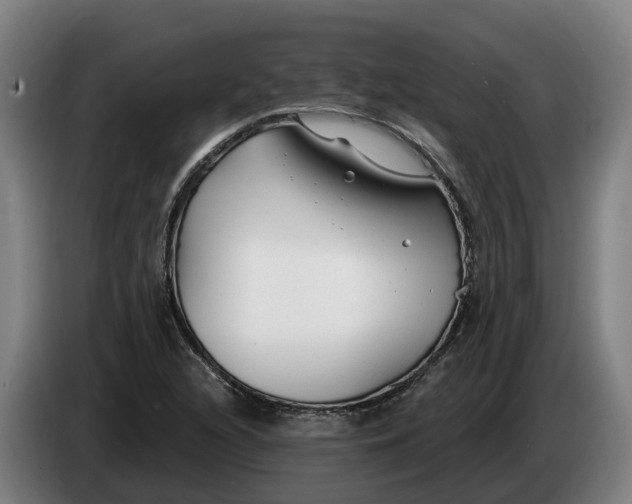 X0000086321216200704202015