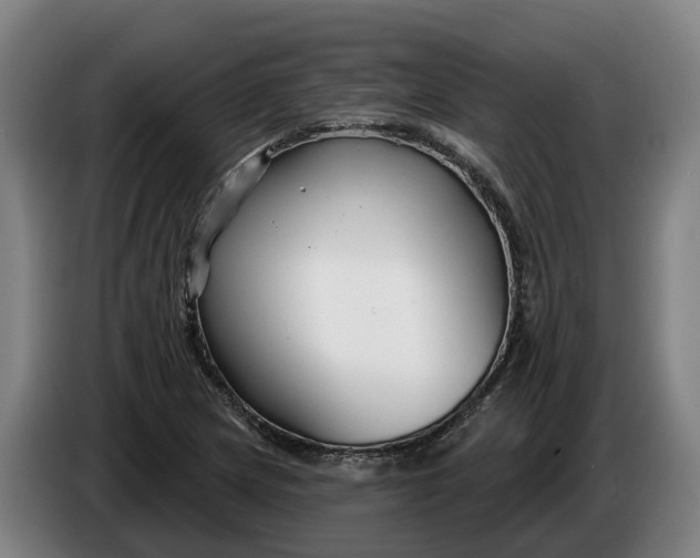 X0000086321217200704202015