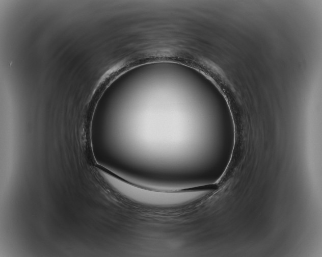 X0000086321218200704202015