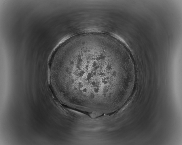 X0000086321219200704202015