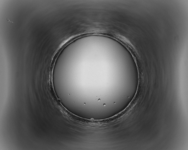 X0000086321220200704202015