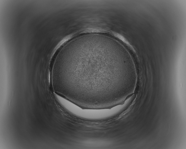 X0000086321221200704202015