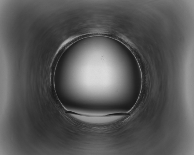 X0000086321222200704202015