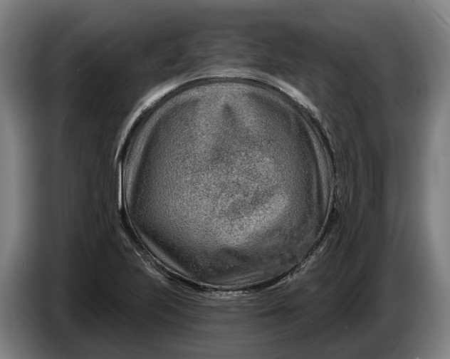 X0000086321223200704202015