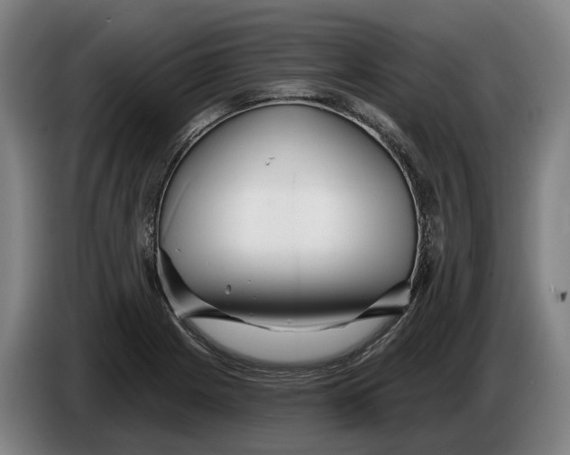 X0000086321225200704202015