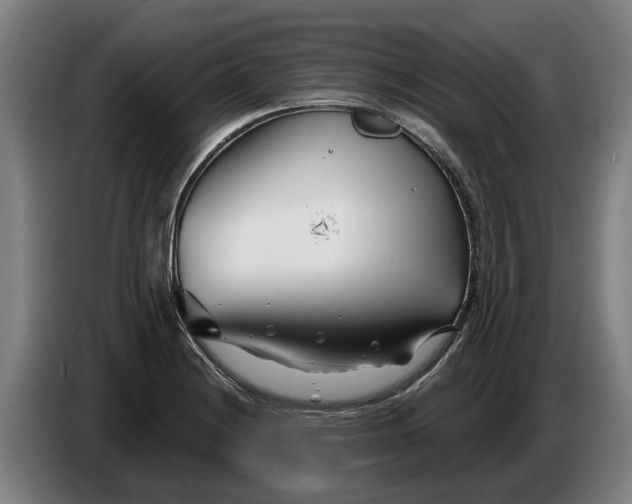 X0000086321228200704202015