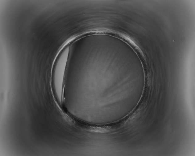 X0000086321229200704202015