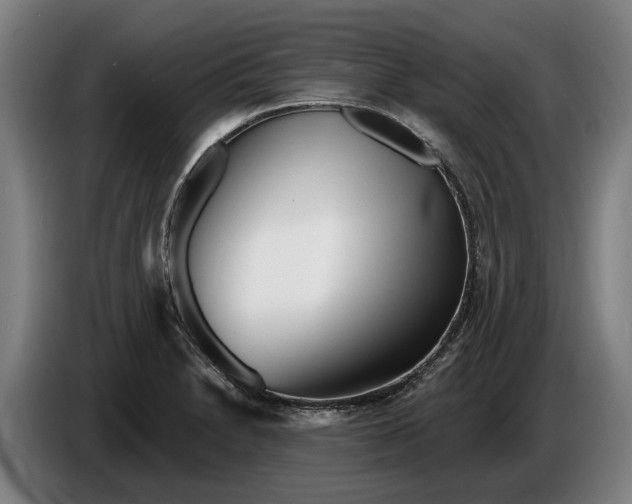 X0000086321230200704202015