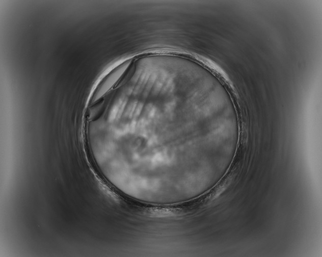 X0000086321231200704202015