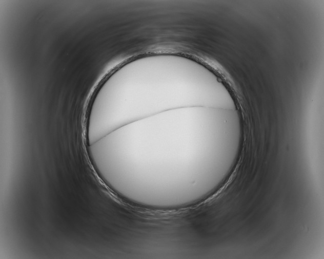 X0000086321232200704202015