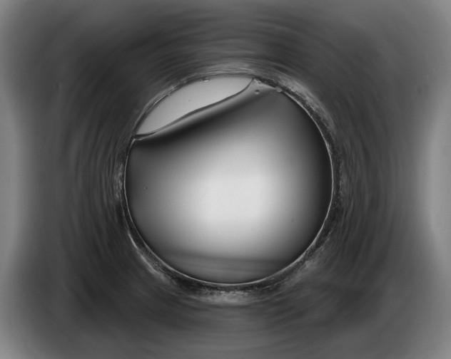 X0000086321233200704202015