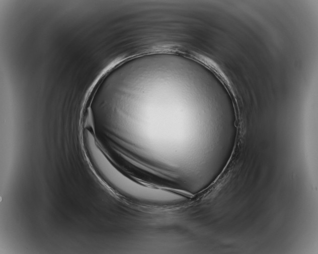 X0000086321235200704202015