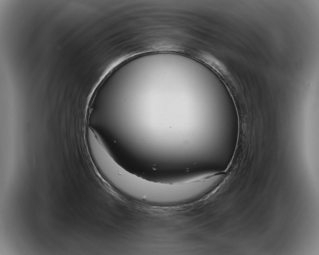 X0000086321236200704202015