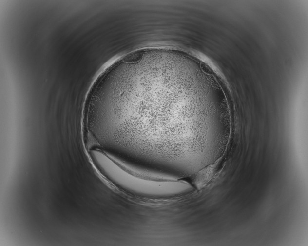 X0000086321237200704202015