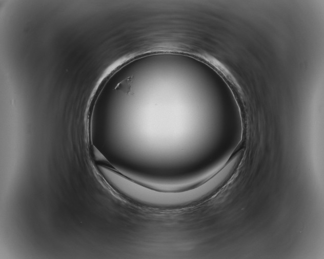 X0000086321238200704202015