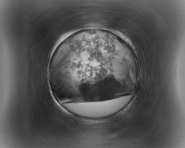 X0000086321239200704202015