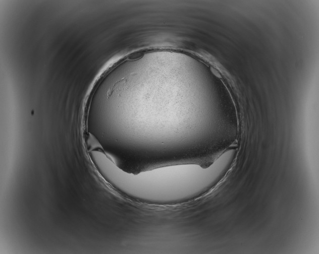 X0000086321240200704202015