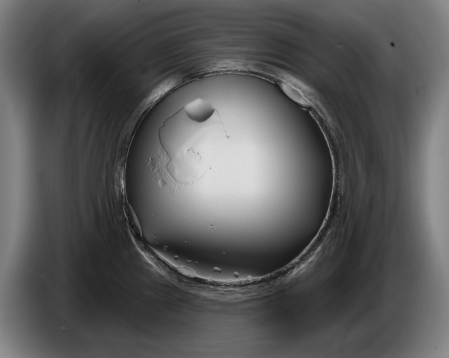 X0000086321241200704202016