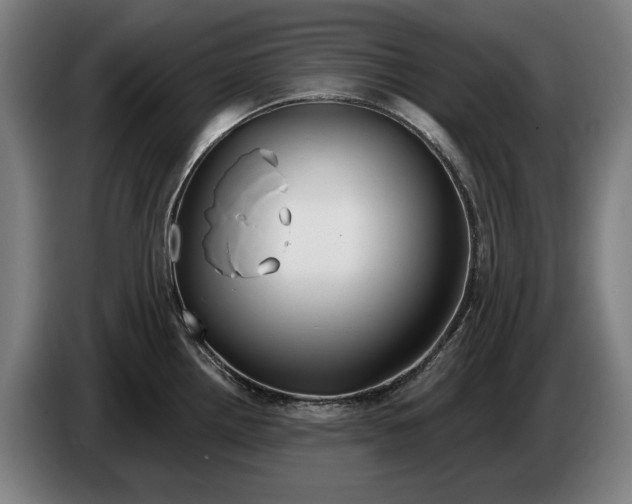 X0000086321242200704202016