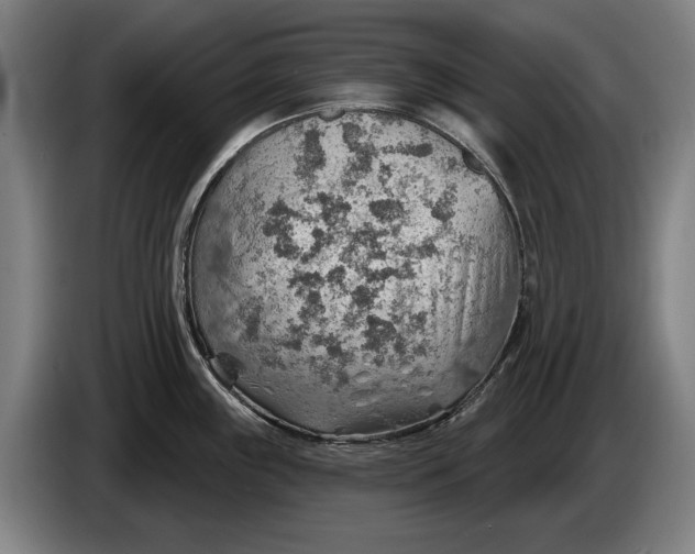 X0000086321243200704202016