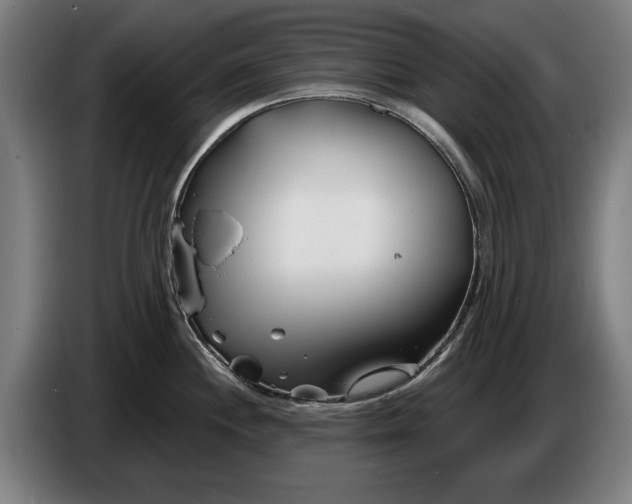 X0000086321244200704202016