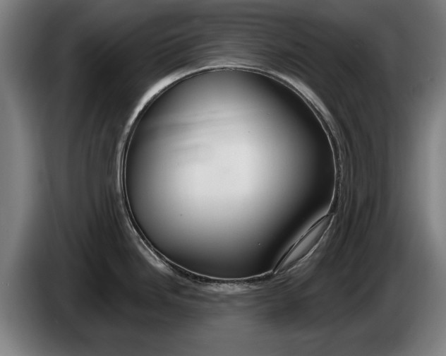 X0000086321246200704202016