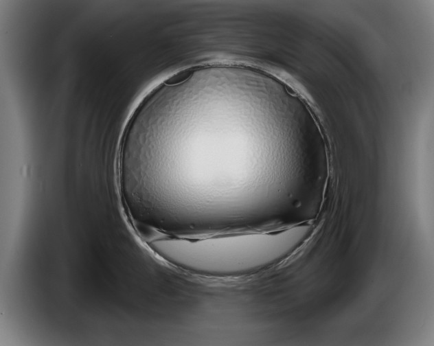 X0000086321247200704202016