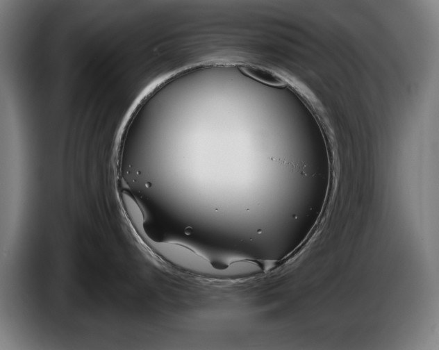 X0000086321248200704202016