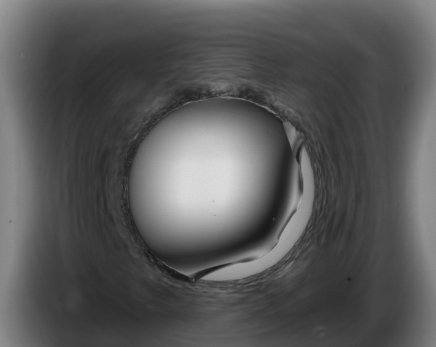 X0000086321249200704202015