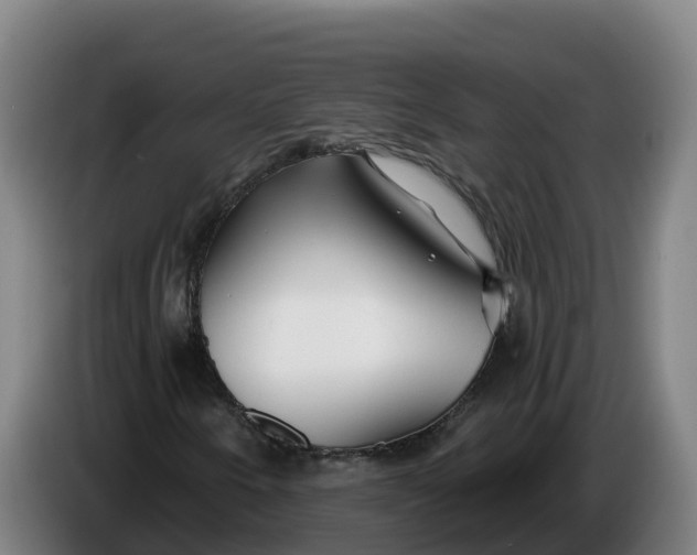 X0000086321250200704202015