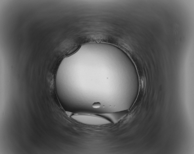 X0000086321251200704202015