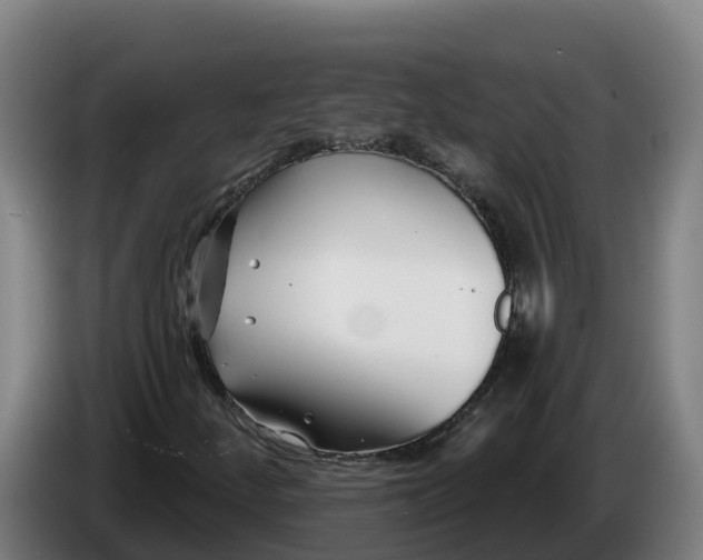 X0000086321252200704202015