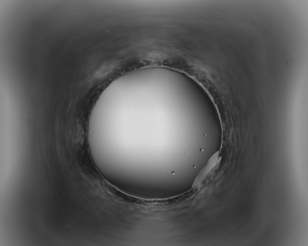 X0000086321253200704202015