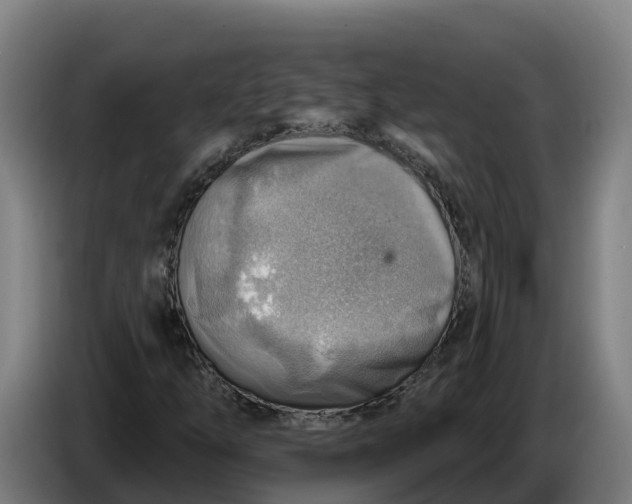 X0000086321254200704202015