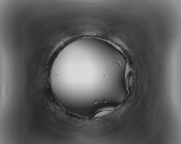 X0000086321256200704202015