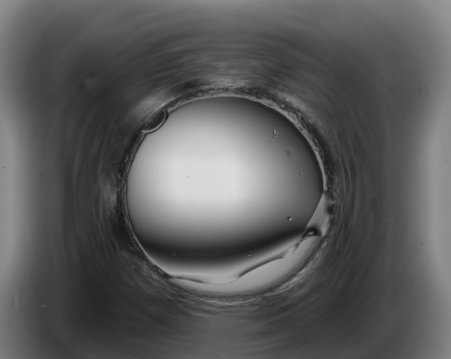 X0000086321257200704202015