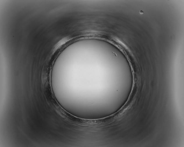 X0000086321259200704202015