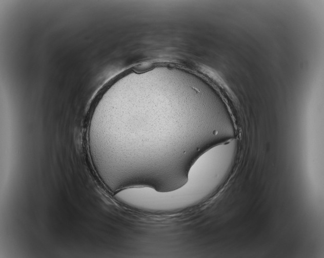 X0000086321260200704202015