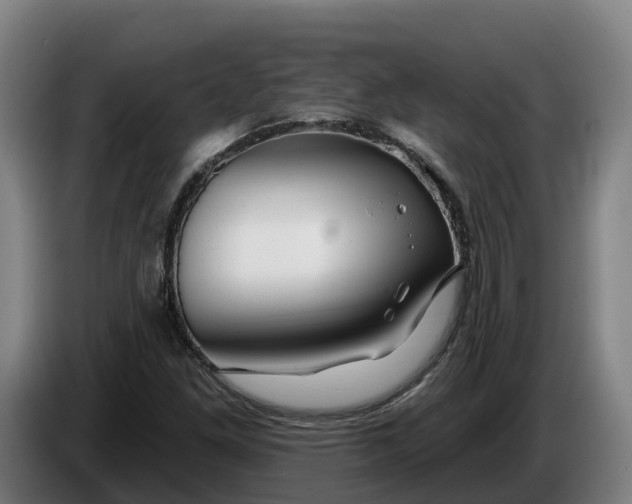 X0000086321261200704202015