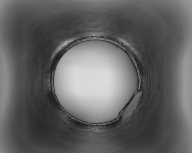 X0000086321262200704202015