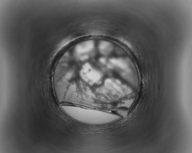 X0000086321263200704202015