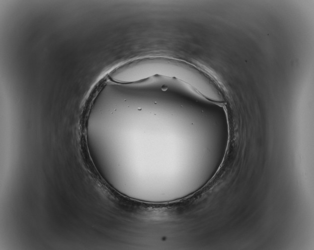 X0000086321264200704202015