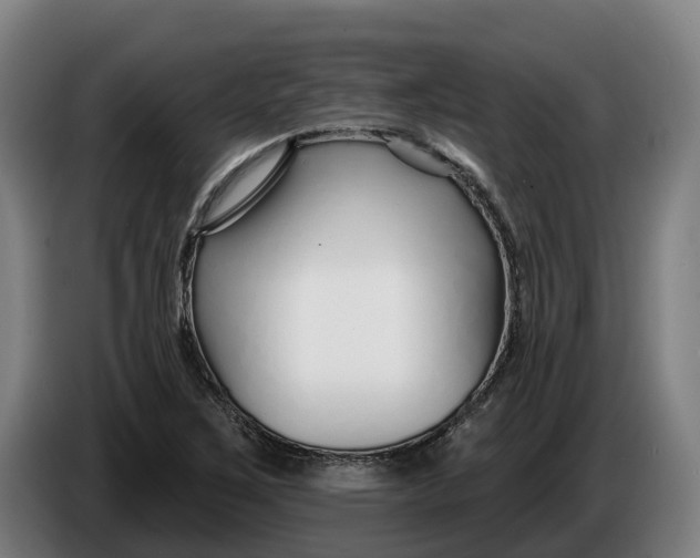 X0000086321267200704202015