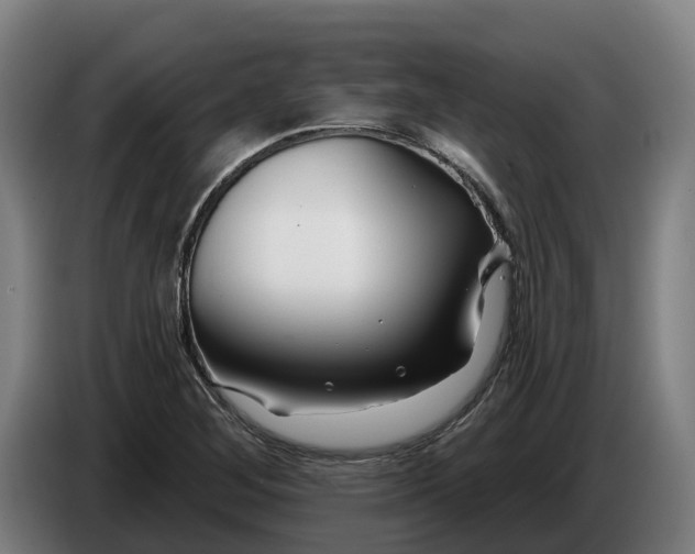 X0000086321268200704202015