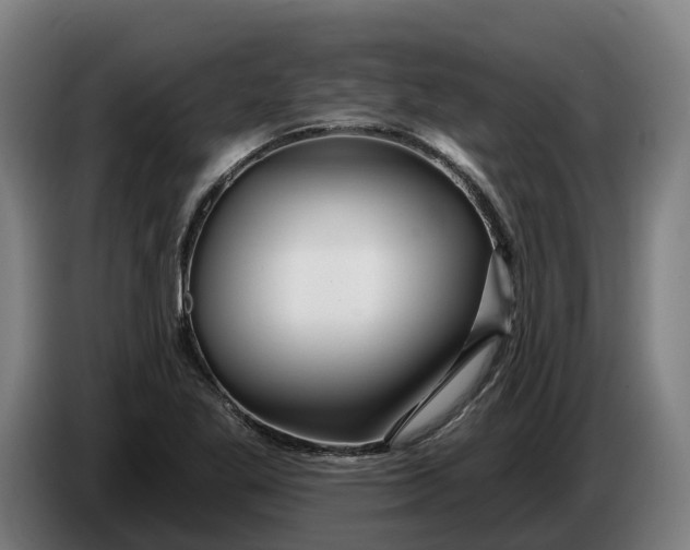 X0000086321269200704202015